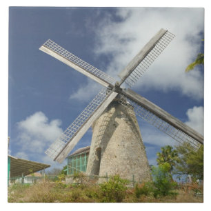 BARBADOS, Noordoostkust, Morgan Lewis: Morgan Tegeltje
