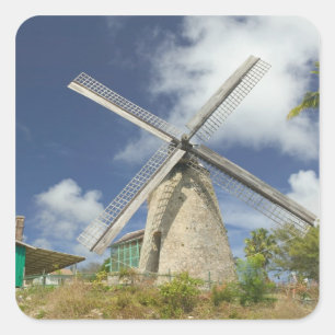 BARBADOS, Noordoostkust, Morgan Lewis: Morgan Vierkante Sticker