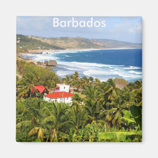 Barbados, prachtig uitzicht van de heuvel en de oc magneet (Voorkant)