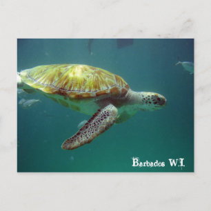Barbados W.I. Briefkaart