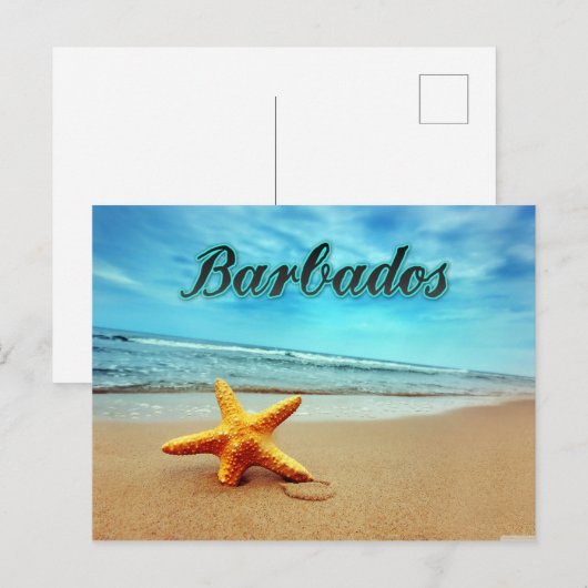 Barbados-zeester Briefkaart (Voorkant / Achterkant)