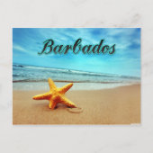 Barbados-zeester Briefkaart (Voorkant)