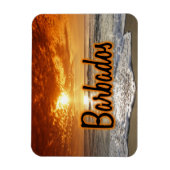 Barbados-zonsondergang Magneet (Verticaal)