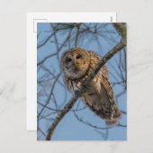 Barbarij Feestdagenkaart (Voorkant / Achterkant)