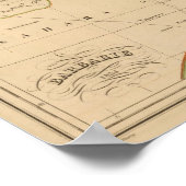 barbarij poster (Hoek)