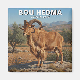 Barbarijse schapen in Bou Hedma National Park Tune Magneet