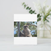 Barbary Ape Briefkaart (Staand voorkant)