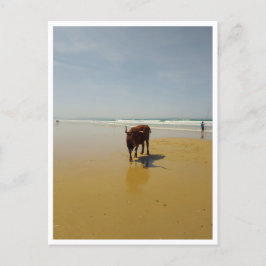 Barbate, Andalusië (Spanje) Briefkaart