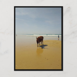 Barbate, Andalusië (Spanje) Briefkaart