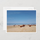 Barbate, Andalusië (Spanje) Briefkaart (Voorkant / Achterkant)