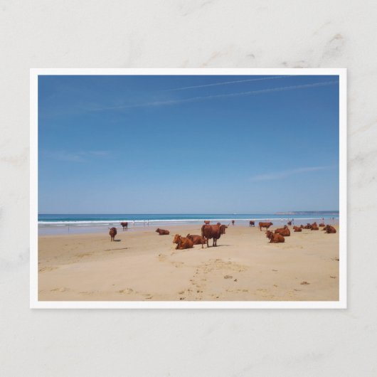 Barbate, Andalusië (Spanje) Briefkaart (Voorkant)