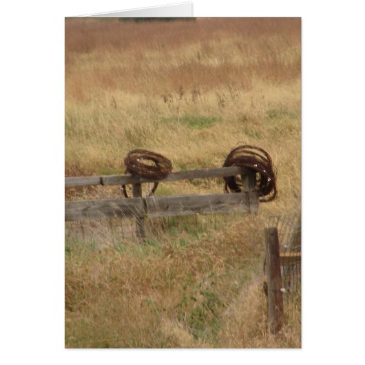 Barbed Wire (Voorkant)