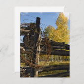 Barbed Wire Briefkaart (Voorkant / Achterkant)