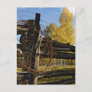 Barbed Wire Briefkaart