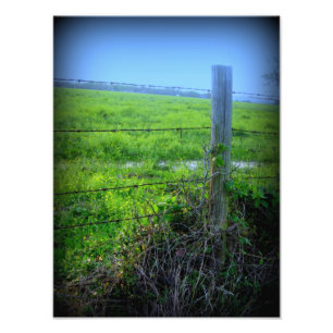 Barbed Wire Fence Foto Afdruk