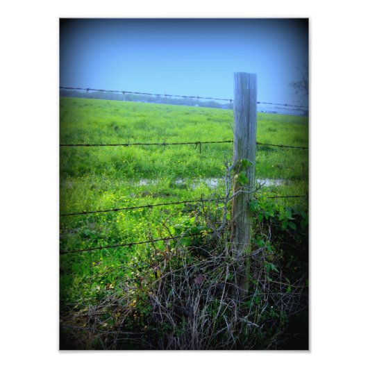 Barbed Wire Fence Foto Afdruk (Voorkant)