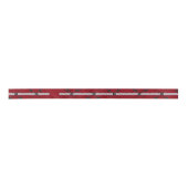 Barbed Wire Fencing Ribbon Lint (Voorkant)