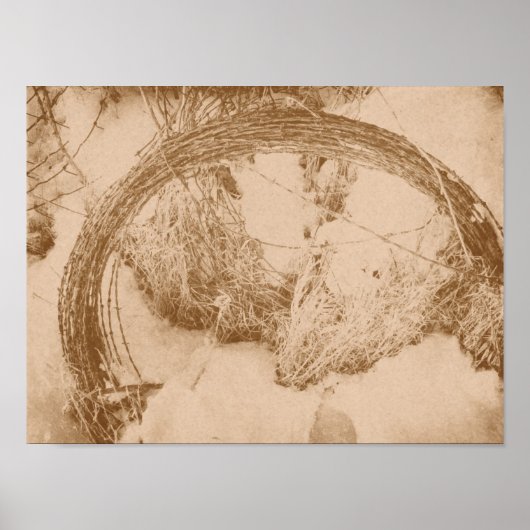 Barbed Wire in Winter Poster (Voorkant)