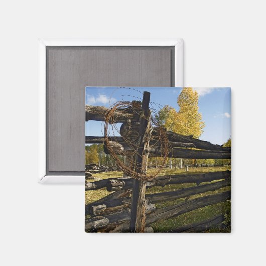 Barbed Wire Magneet (Voorkant / Achterkant)