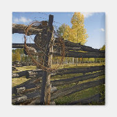 Barbed Wire Magneet (Voorkant)