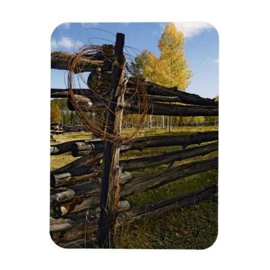 Barbed Wire Magneet (Verticaal)