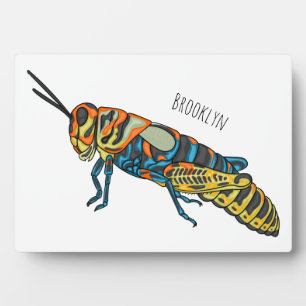 Barberpoolsprinkhaan, afbeelding cartoon fotoplaat