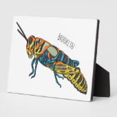 Barberpoolsprinkhaan, afbeelding cartoon fotoplaat (Zijkant)