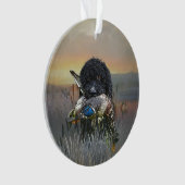 Barbet, Chien d'eau français (devant)