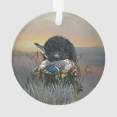 Barbet, Chien d'eau français (dos)