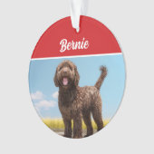 Barbet Dog Vakantie Kerstfoto Ornament (voorkant)