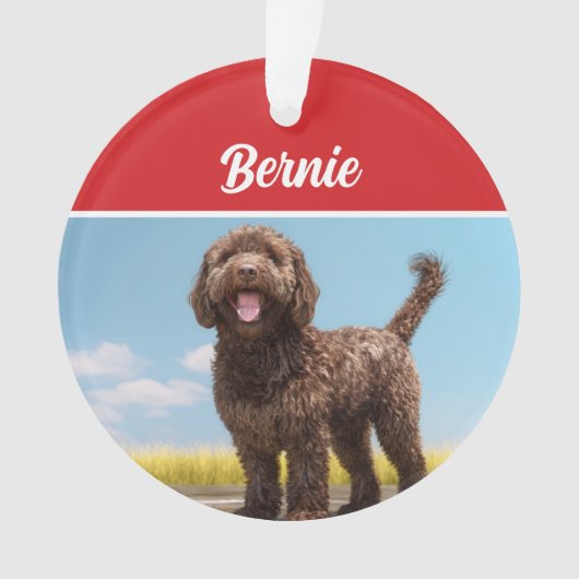 Barbet Dog Vakantie Kerstfoto Ornament (voorkant)