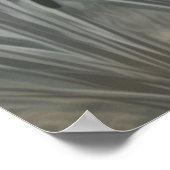 Barbet, Franse waterhond Poster (Hoek)