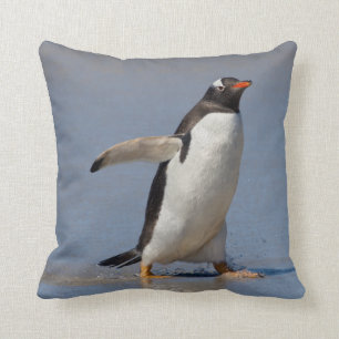 Barbotage du coussin de Gentoo