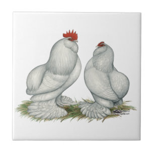 Barbu d'Everberg Chickens Tegeltje