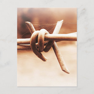 Barbwire en Spider Web in Sepia Briefkaart