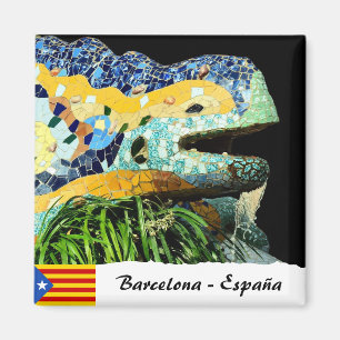Barcelona Magneet, Hagedis Fontein, Spanje Magneet