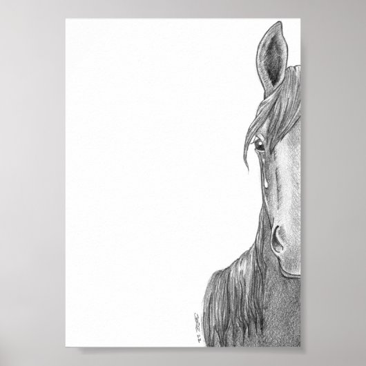 Bard-Poster Poster (Voorkant)