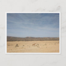 Bardenas Reales (Spanje)