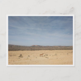 Bardenas Reales (Spanje) Briefkaart