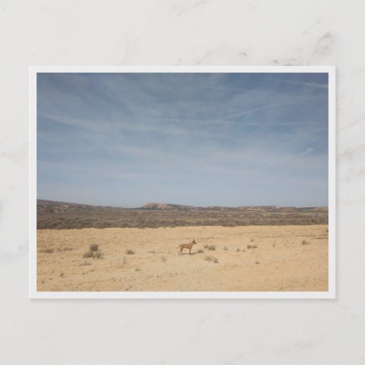 Bardenas Reales (Spanje) Briefkaart (Voorkant)