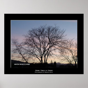 'Bare Tree at Dusk' Poster