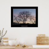 'Bare Tree at Dusk' Poster (Keuken)