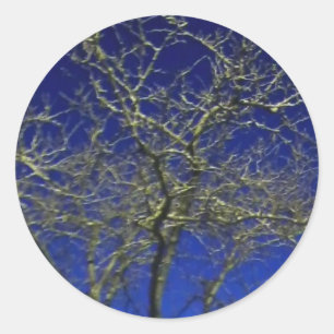 Bare Tree autocollant