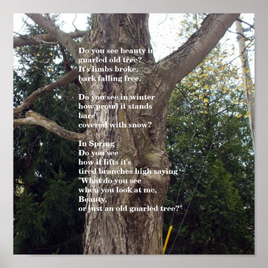 Bare Tree Poem voor Arbor Day Poster (Voorkant)