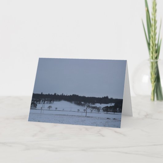 Bare Trees in the Snow Feestdagen Kaart (Voorkant)