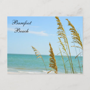Barefoot Beach briefkaart
