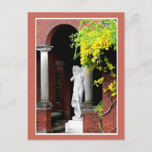 Barefoot Kate Briefkaart