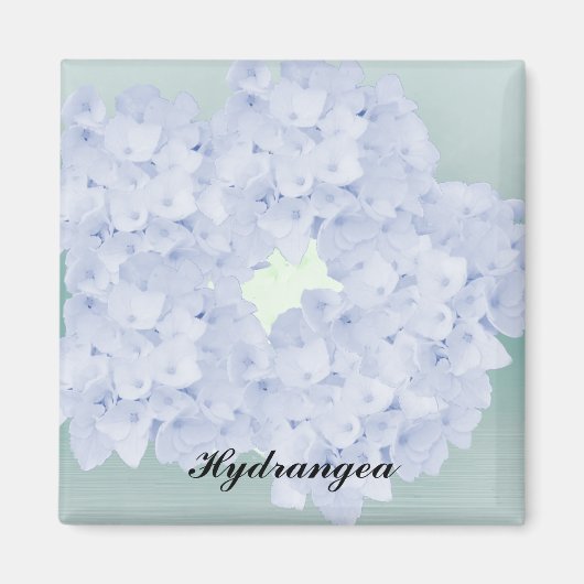 Barely Blue Hydrangea Magnet Magneet (Voorkant)