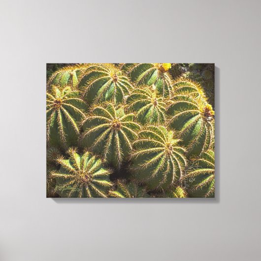 Baril Cactus - Impression de toile enveloppée (Recto)