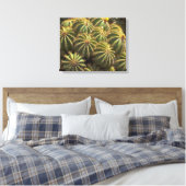 Baril Cactus - Impression de toile enveloppée (Insitu(Chambre))